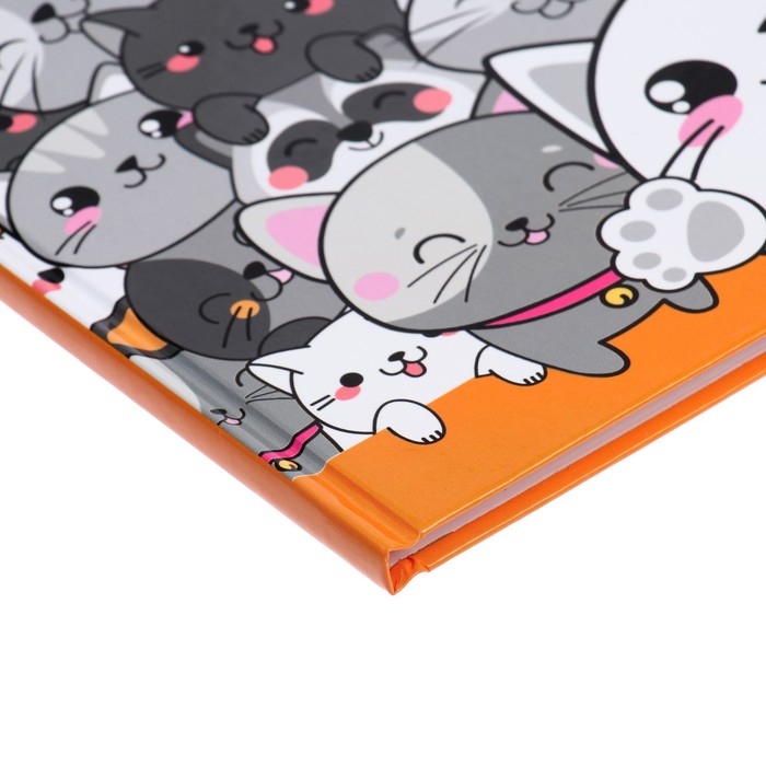 Дневник универсальный для 1-11 классов, Дневник универсальный для 1-11 классов, "Коты 2", твердая обложка 7БЦ, глянцевая ламинация, 40 листов