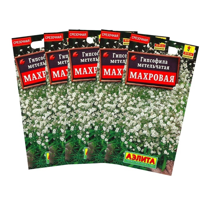 Семена цветов Гипсофила  Семена цветов Гипсофила "Махровая",набор 5 шт