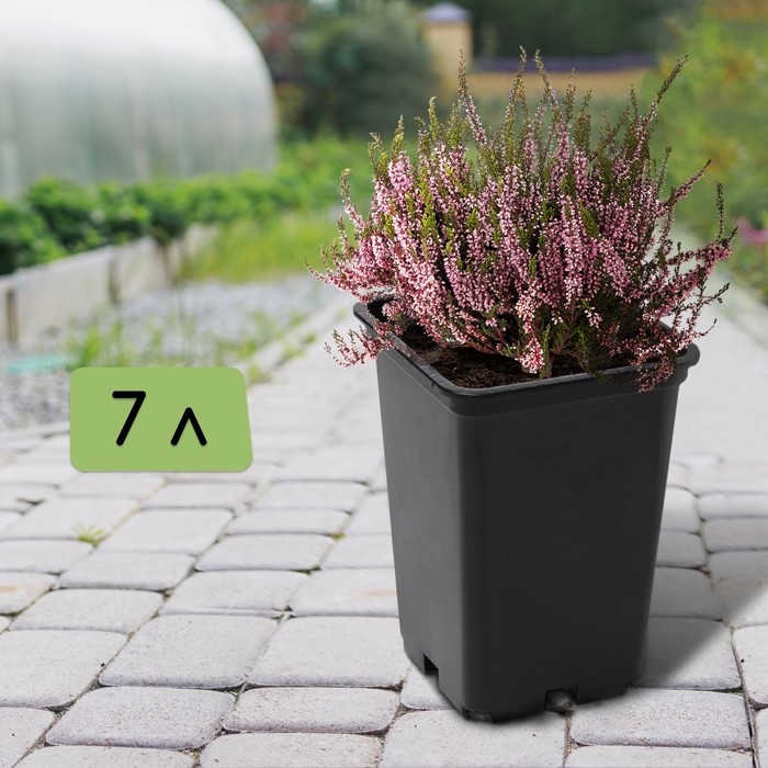 Горшок для рассады, 7 л, d = 21 см, h = 27,5 см, чёрный Горшок для рассады, 7 л, d = 21 см, h = 27,5 см, чёрный