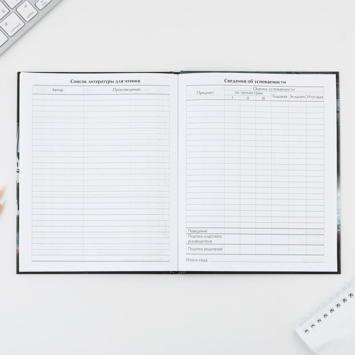 Дневник школьный 1-4 класс &laquo;Первый во всём&raquo;, твердая обложка 7БЦ, глянцевая ламинация, 48 листов