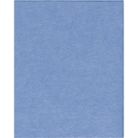Салфетки хозяйственные Luscan Professional виск 90г/м2 30х38 5шт/уп голубые