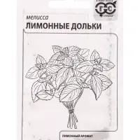 Набор семян Зелень пряная, 10 шт.