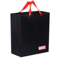 Пакет подарочный, 23х27х11 см, упаковка, Мстители Пакет подарочный, 23х27х11 см, упаковка, Мстители