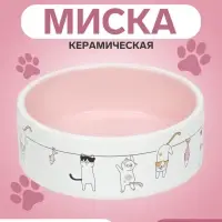 Миска &laquo;Весёлые котики&raquo;, 300 мл 12.5&times;4.5 см, керамика, бежевая, белая