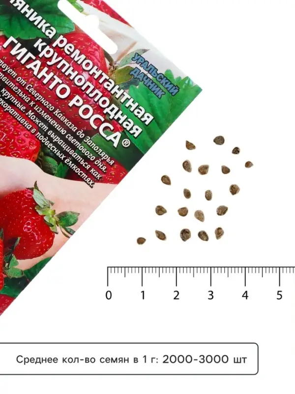 Семена Земляника &laquo;Гиганто Росса&raquo;, 10 шт., ремонтантная, крупноплодная, &laquo;Уральский дачник&raquo;