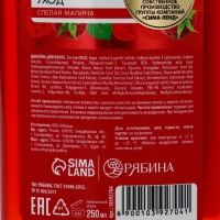 Шампунь для волос, питающий уход, аромат малины, 250 мл, Рябина