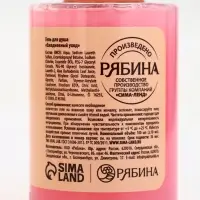 Подарочный набор новогодний «Время волшебства», гель для душа 2 шт и мочалка для тела, URAL LAB Подарочный набор новогодний «Время волшебства», гель для душа 2 шт и мочалка для тела, URAL LAB