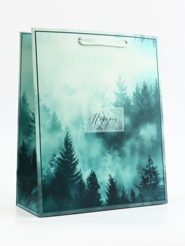 Пакет подарочный вертикальный "Подарок", 26 × 32 × 12 см