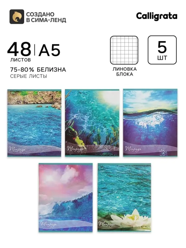 Тетради 5 штук, 48 листов в клетку, Calligrata &laquo;Океан&raquo;, серые листы