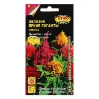 Семена цветов Целлозия "Яркие гиганты", смесь, 0,2 г Семена цветов Целлозия "Яркие гиганты", смесь, 0,2 г