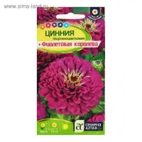 Семена цветов Цинния "Фиолетовая Королева" георгиноцветковая, О,  ц/п,0,3 г.