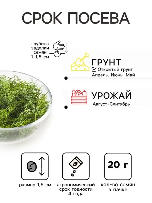 Семена Укроп &laquo;Аллигатор&raquo;, XXXL, &laquo;Сембат&raquo;, 20 г