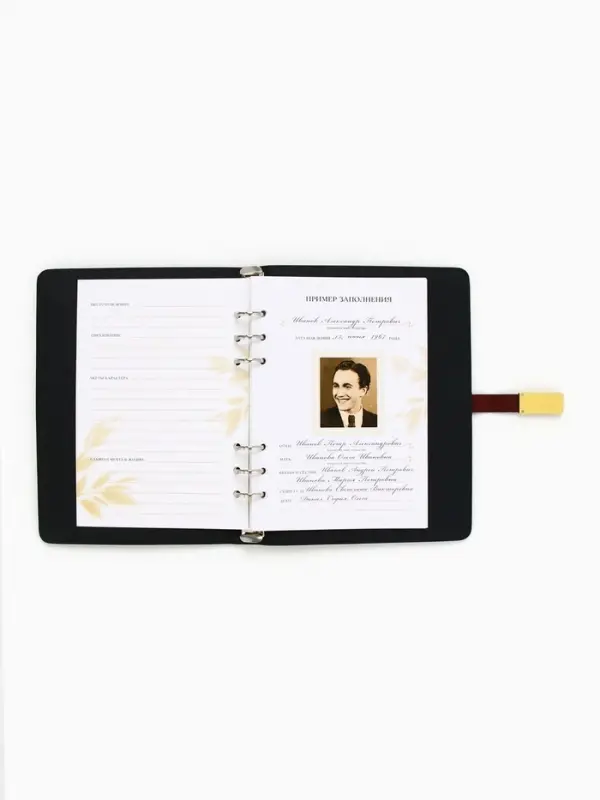 Родословная книга со встроенной флешкой 16 Gb &laquo;Книга всей семьи&raquo;, 17.5&times;23 см