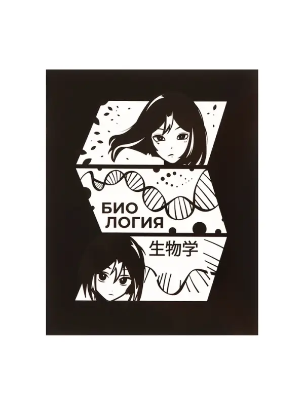 Набор предметных тетрадей Calligrata &laquo;Комикс Аниме&raquo;, 12 предметов, 48 листов, со справочным материалом, обложка из мелованного картона