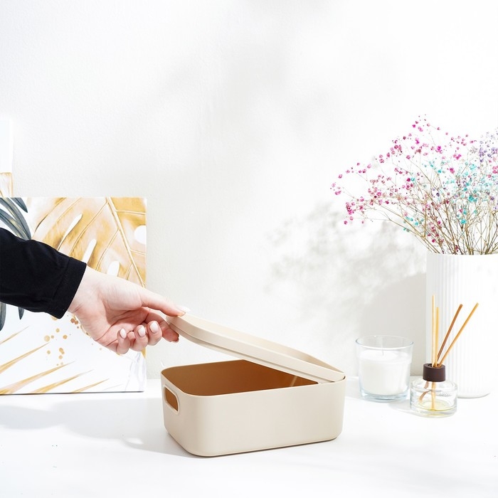 Короб для хранения с крышкой «Инфинити», 20×14×8 см, 1,7 л, цвет латте Короб для хранения с крышкой «Инфинити», 20×14×8 см, 1,7 л, цвет латте