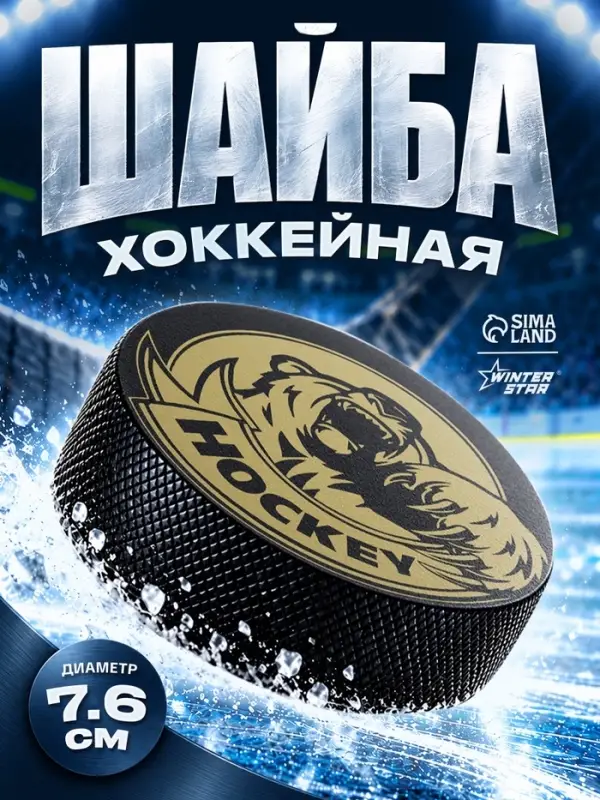 Шайба хоккейная Winter Star, взрослая, d=7.6 см
