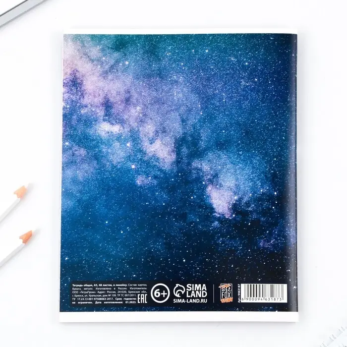 Тетрадь в линейку, предметная, 48 л.,на скрепке, А5 &laquo;КОСМОС. Литература&raquo;