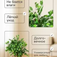 Дерево искусственное &laquo;Плюмерия&raquo;, h=90 см