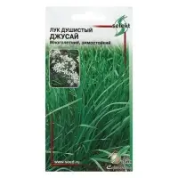Набор семян Лук душистый "Джусай", 5 шт. Набор семян Лук душистый "Джусай", 5 шт.