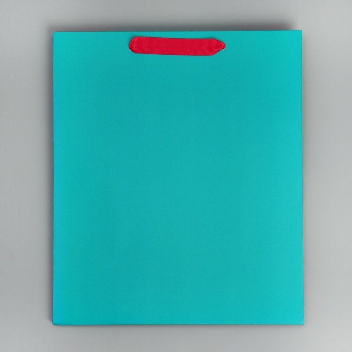 Пакет подарочный двухцветный, упаковка, &laquo;Розовый-голубой&raquo;, ML 23 х 27 х 11.5 см