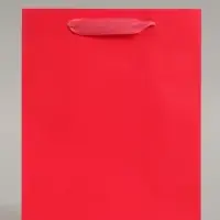 Пакет подарочный ламинированный вертикальный &laquo;Фуксия&raquo;, S 18&times;23&times;10 см