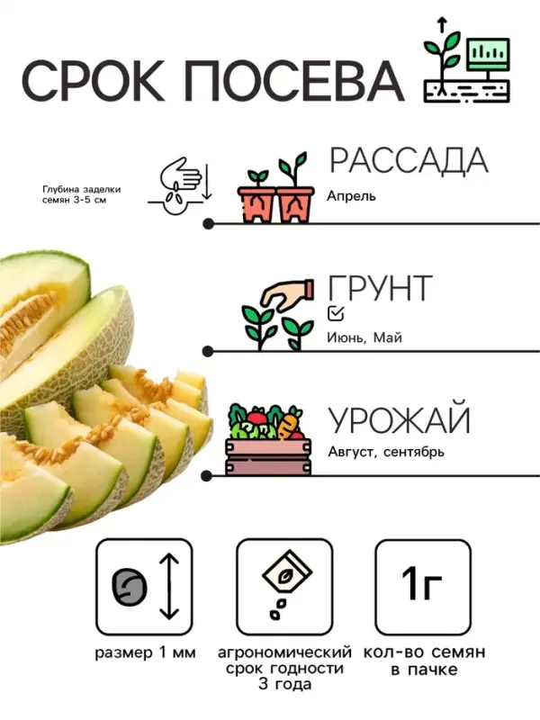 Семена Дыня &laquo;Бест Джумбо&raquo;, 1 г, &laquo;Аэлита&raquo;