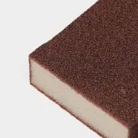 Губки для посуды Raccoon &laquo;Чудо-губка&raquo;, 2 шт., чистящие,10.5&times;7&times;5 см