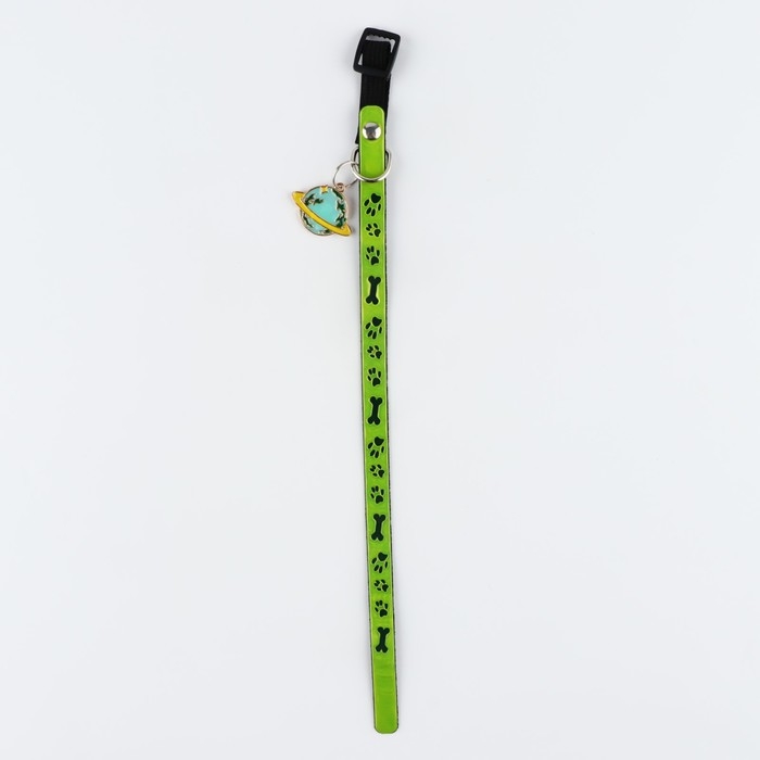 Ошейник светоотражающий «Лапки» с подвесом, 30 х 1 см, цвет зелёный Ошейник светоотражающий «Лапки» с подвесом, 30 х 1 см, цвет зелёный