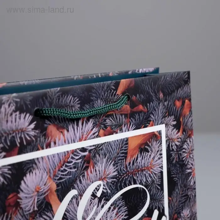 Пакет подарочный новогодний ламинированный «Новогодняя пора», ML 23 x 27 х 8 см