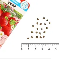 Семена Земляника &laquo;Зефир&raquo;, 10 шт., &laquo;Сибирский сад&raquo;
