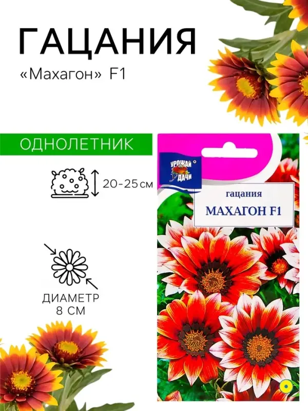 Семена цветов Гацания &laquo;Махагон&raquo;, F1, для балкона, веранды, цветника, однолетник, низкорослая0.04 г