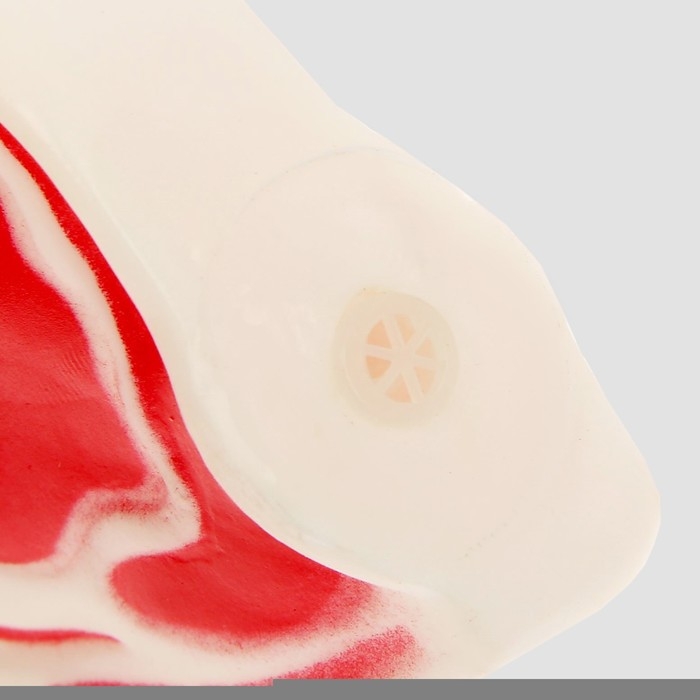 Игрушка пищащая Игрушка пищащая "Мясо на косточке" для собак, 13 см, микс цветов