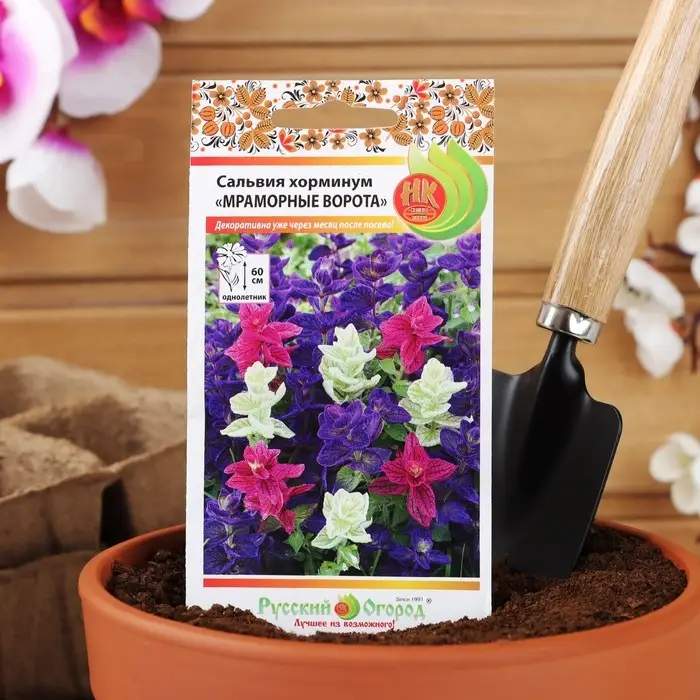 Семена цветов Сальвия хорминум  Семена цветов Сальвия хорминум "Мраморные ворота", смесь, 30 шт