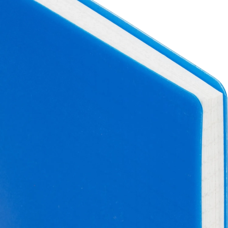 Бизнес-тетрадь А5-,96л,гребень,обл.пластик,клетка, Attache Plastic, синий