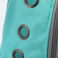 Рюкзак для переноски животных прозрачный, 31 х 28 х 42 см, бирюзовый Рюкзак для переноски животных прозрачный, 31 х 28 х 42 см, бирюзовый