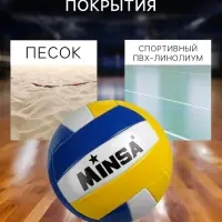 Волейбольный мяч MINSA, машинная сшивка, 18 панелей, р. 5, PVC