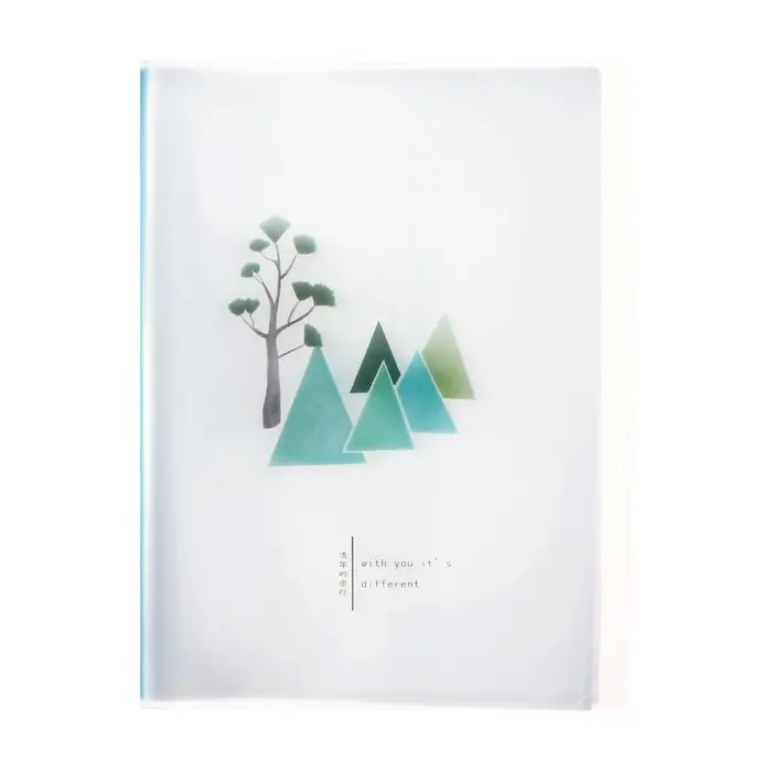 Папка формат А4, с 40 прозрачными файлами &laquo;Река&raquo;, МИКС