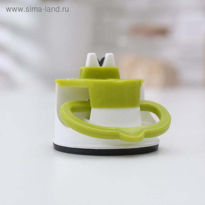 Точилка для ножей на присоске Libra Plast, пластик, цвет микс Точилка для ножей на присоске Libra Plast, пластик, цвет микс