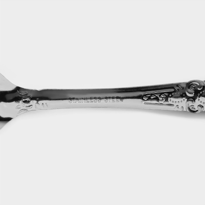 Ложки чайные из нержавеющей стали &laquo;Русиано&raquo;, длина 14 см, 12 шт, цвет серебряный