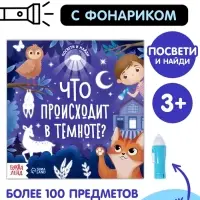 Книга с фонариком &laquo;Что происходит в темноте?&raquo;, 24 стр.