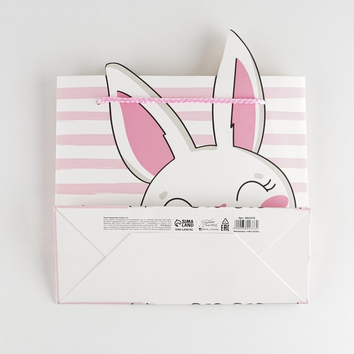 Пакет подарочный, упаковка, «Best day», 25 х 26 х 10 см Пакет подарочный, упаковка, «Best day», 25 х 26 х 10 см