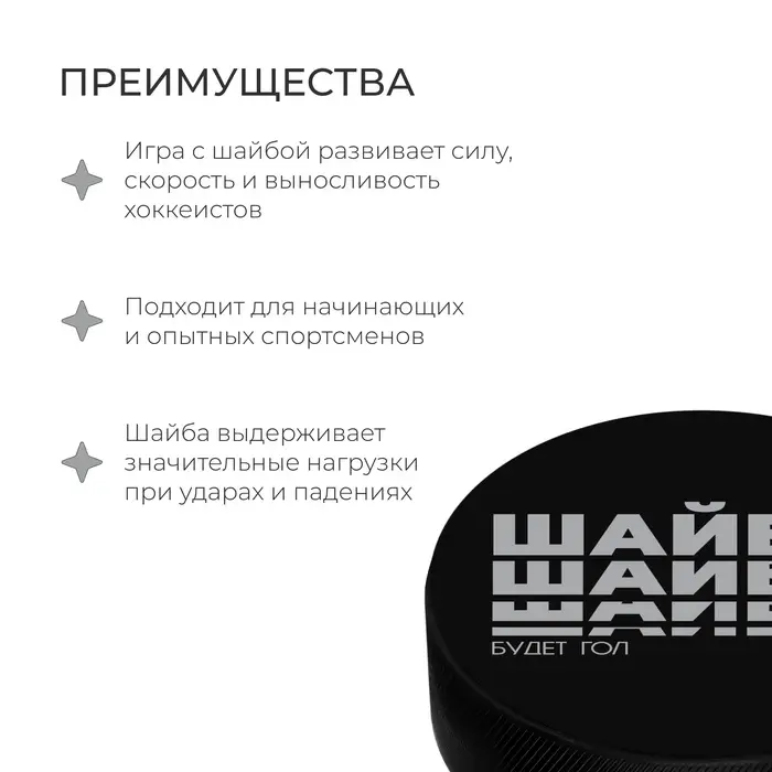 Шайба хоккейная Winter Star, взрослая, d=7.6 см