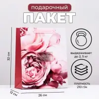 Пакет подарочный ламинированный &laquo;Цвети от счастья&raquo;, 26&times;32&times;12 см