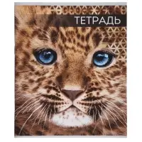 Тетради 48 листов в клетку, Calligrata &laquo;Дикие кошки&raquo;, 4 штуки
