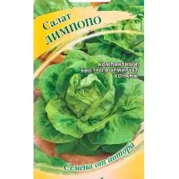 Семена Салат &laquo;Лимпопо&raquo; кочанный, 0.5 г