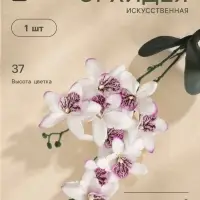 Цветы искусственные &laquo;Орхидея Фаленопсис мультифлора&raquo;, 6&times;37 см, бело-сиреневые
