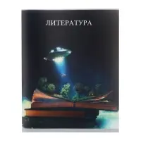 Предметная тетрадь по литературе Calligrata TOP &laquo;Школьный стиль&raquo;, 48 листов, в линейку, со справочным материалом, пластиковая обложка