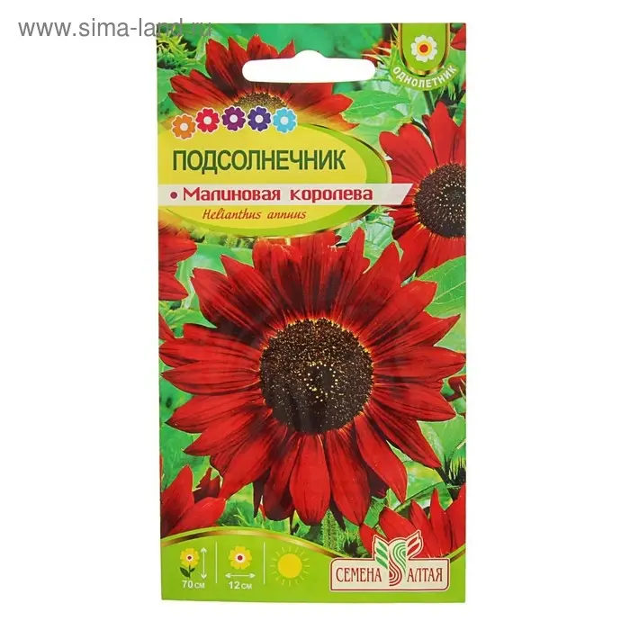 Семена цветов Подсолнечник  Семена цветов Подсолнечник "Малиновая Королева", ц/п,  О, 0,3 г.