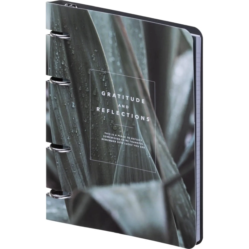 Тетрадь общая, BS, 155х212мм, 80л., клетка, кольца, Botanica, агава N4227