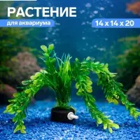 Растение искусственное